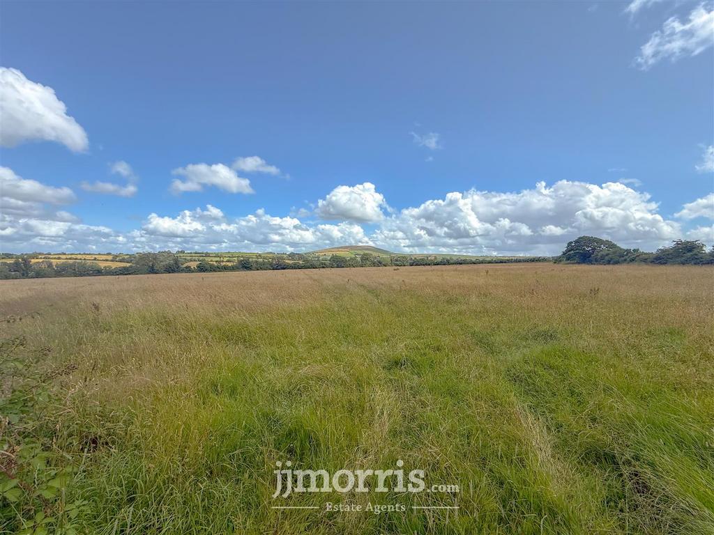 721 D1995-7 FF3-4 D05-88 F2-98 D3 ADAA128 A.jpeg