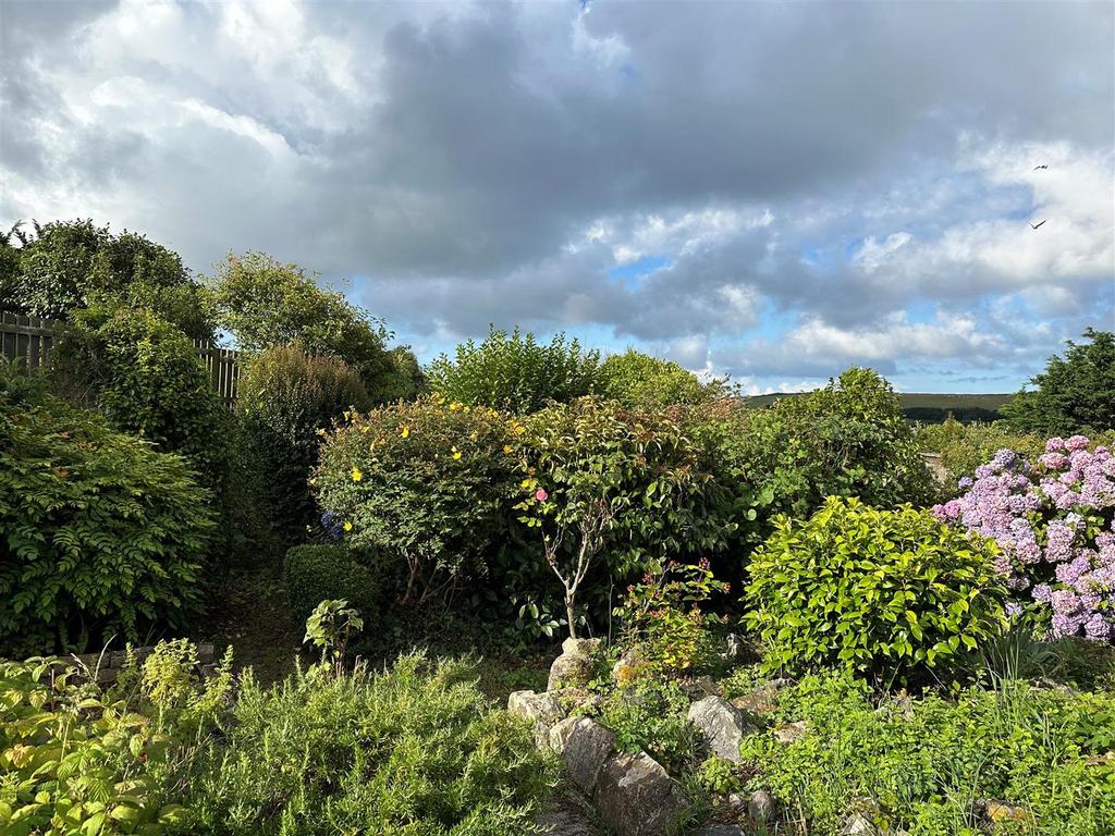 Garden 2.jpg