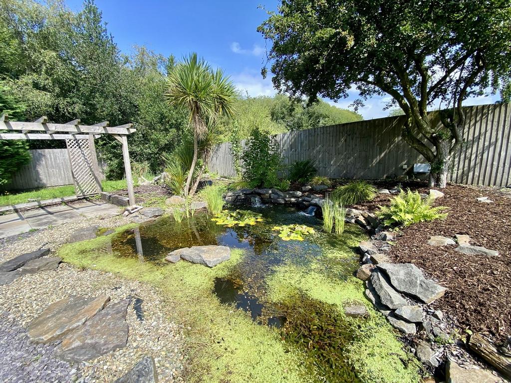 Pond