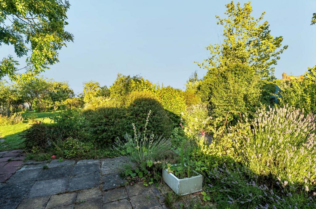 1333649-16-689133eba833d