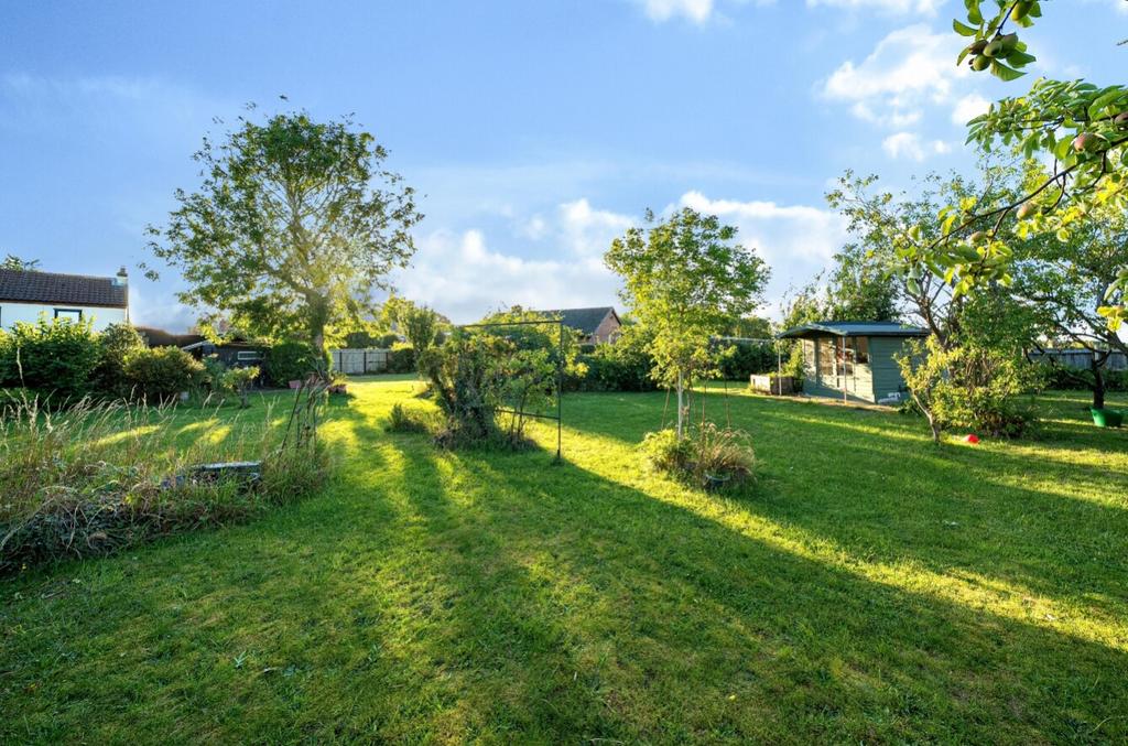 1333649-19-68913432d6f54