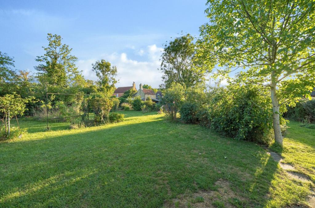 1333649-20-689134633a442