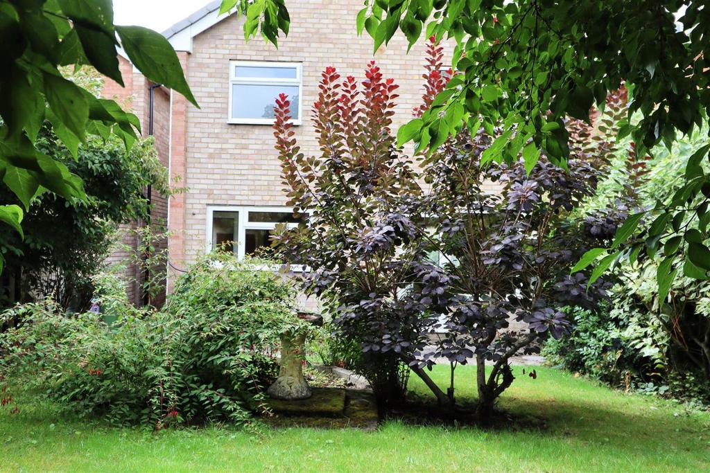 Garden3.JPG