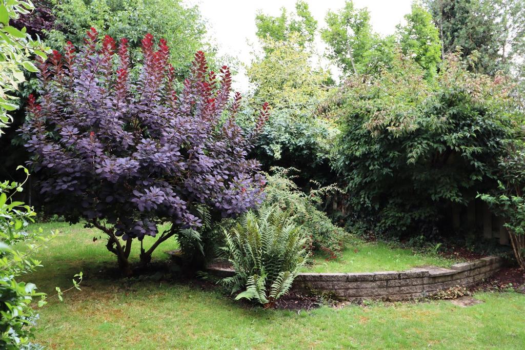 Garden2.JPG