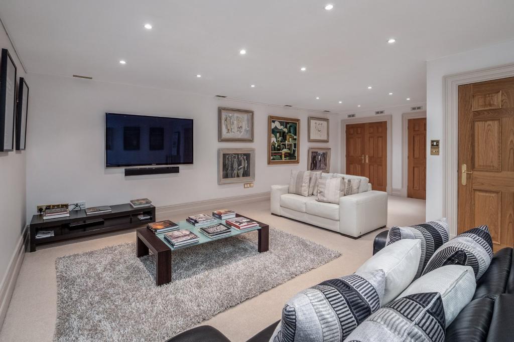 Family Room/Cinema