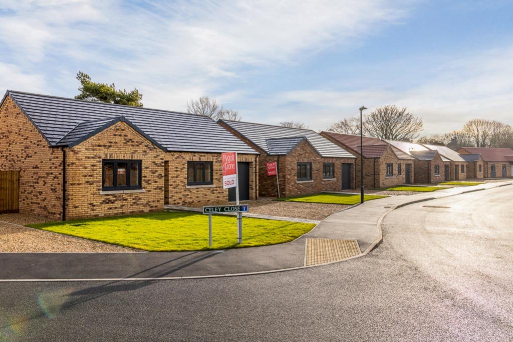 Street Scene - Gosberton Site-1