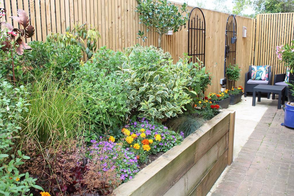Outside Picture 5