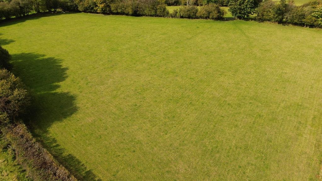 Land (seventh image)