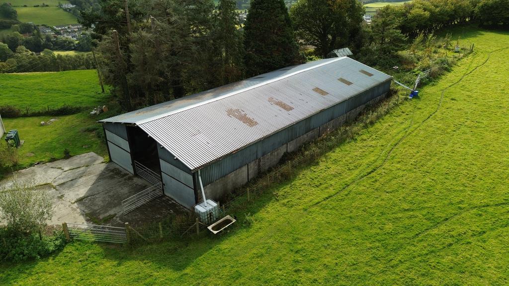 Sheep shed