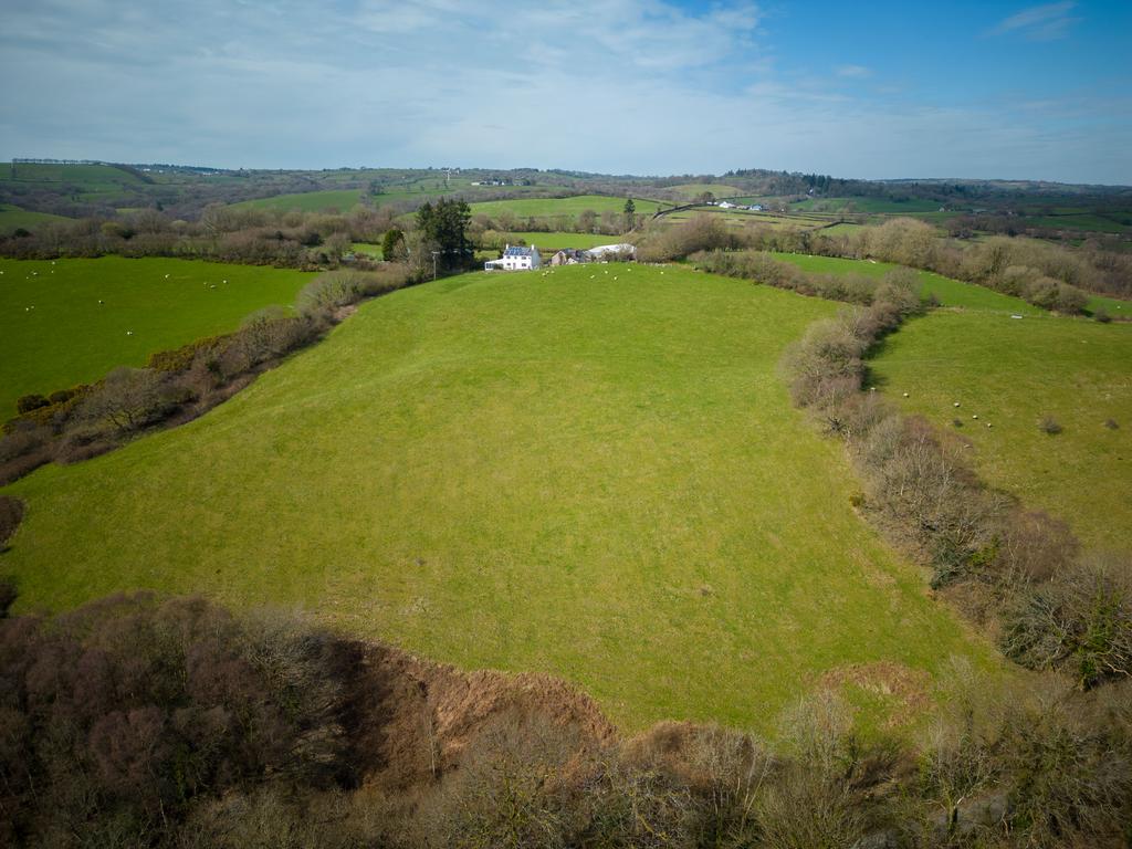 The land