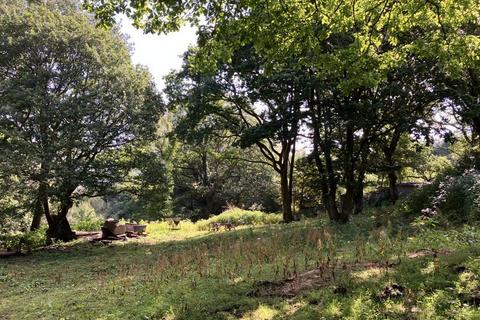 Farm land for sale, Approximately 3.419 acres, Llandraw Woods, Pontypridd