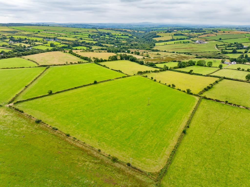 The land