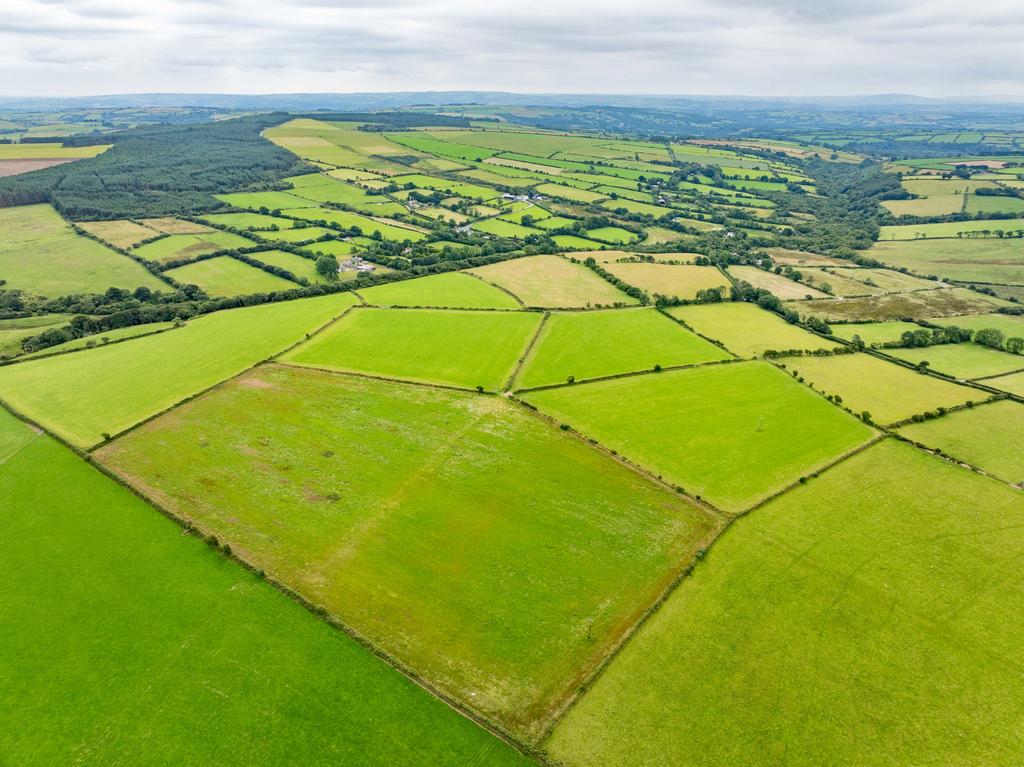 The land