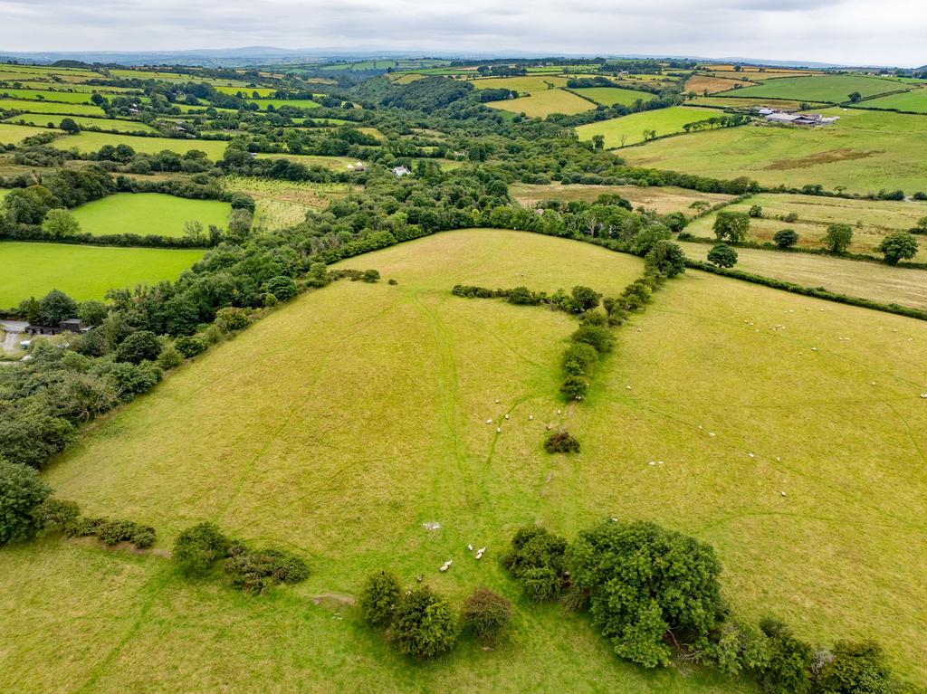 The land