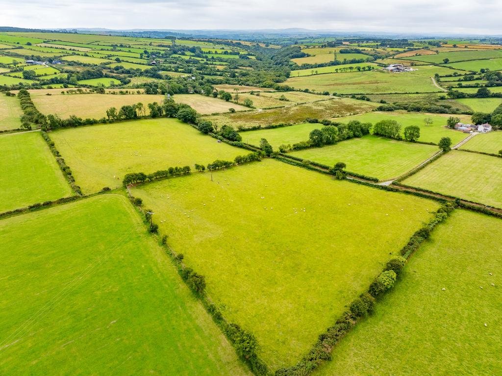 The land