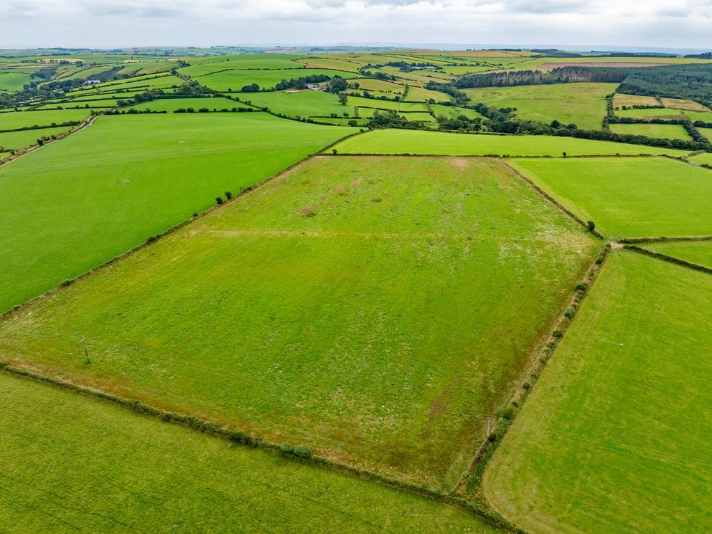 The land