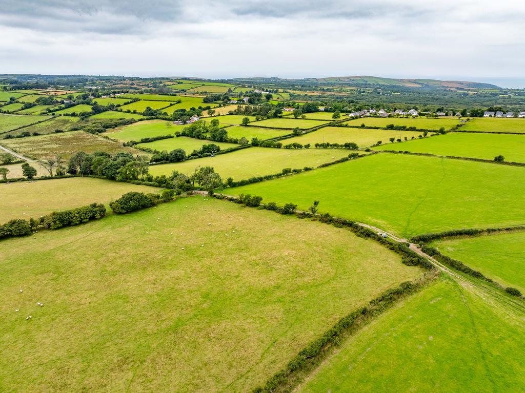 The land