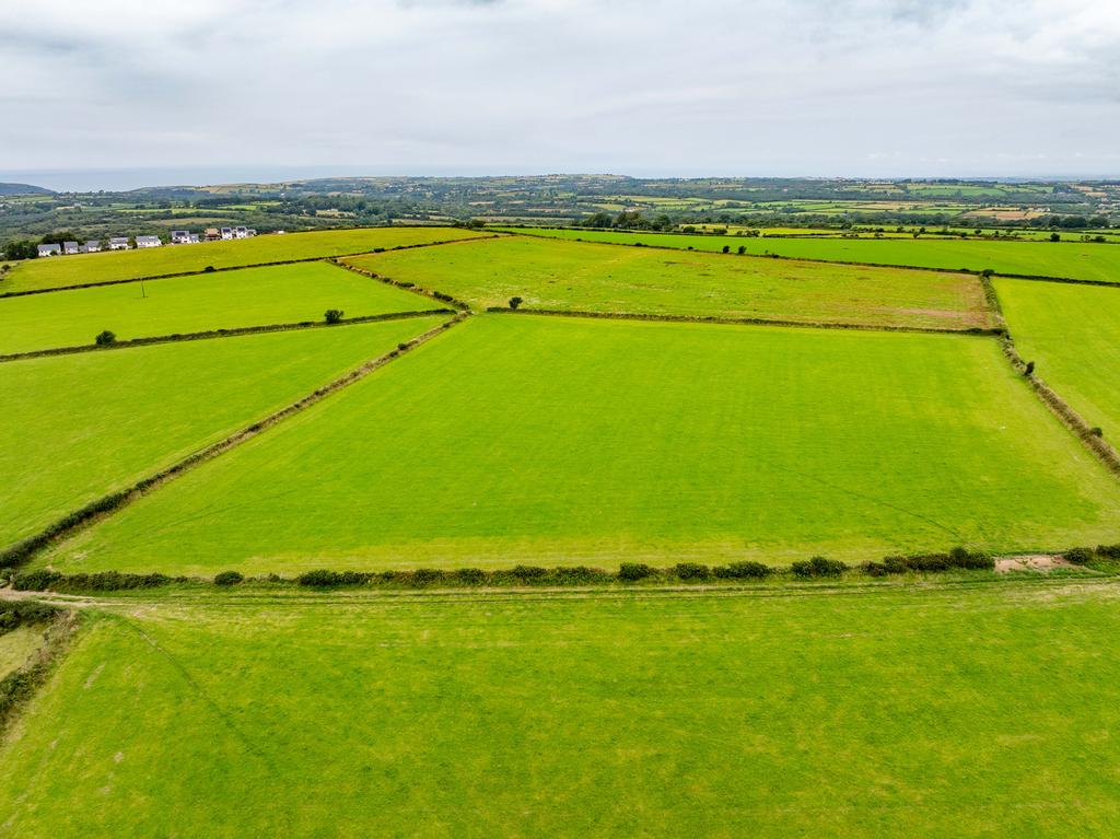The land