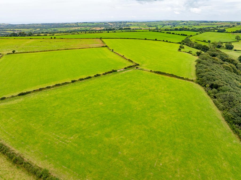 The land