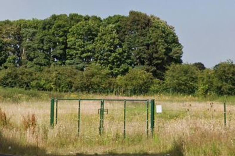Plot Entrance