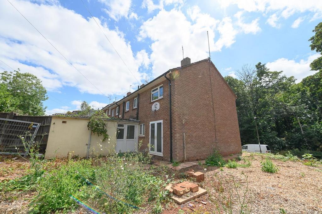 Side-rear garden.jpg
