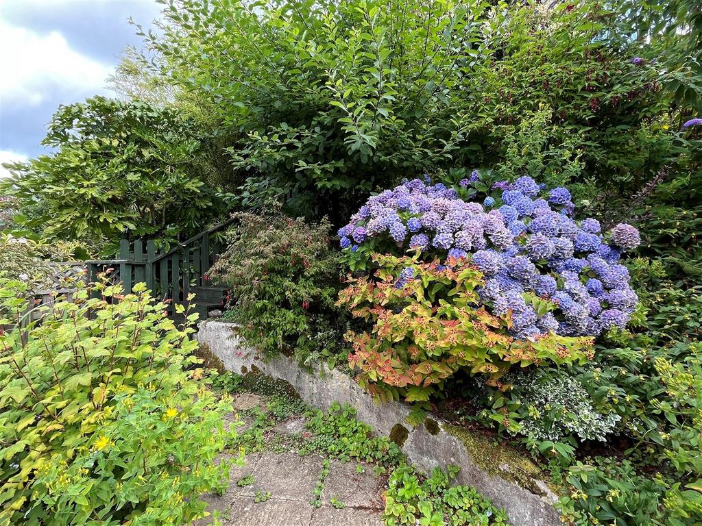 Garden 4.jpg