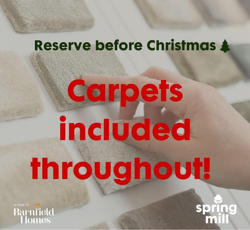 Carpets.jpg