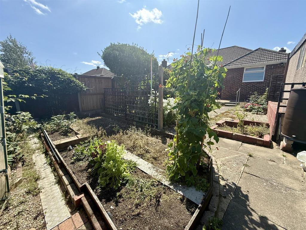 Veg Plot.jpg