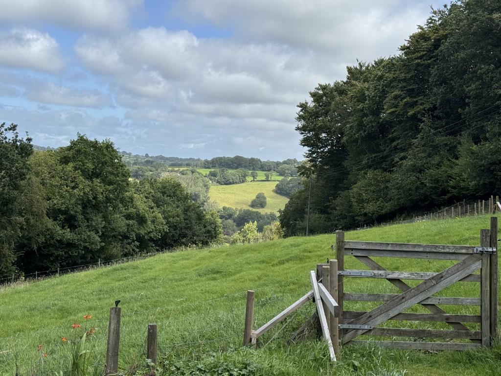 The Land