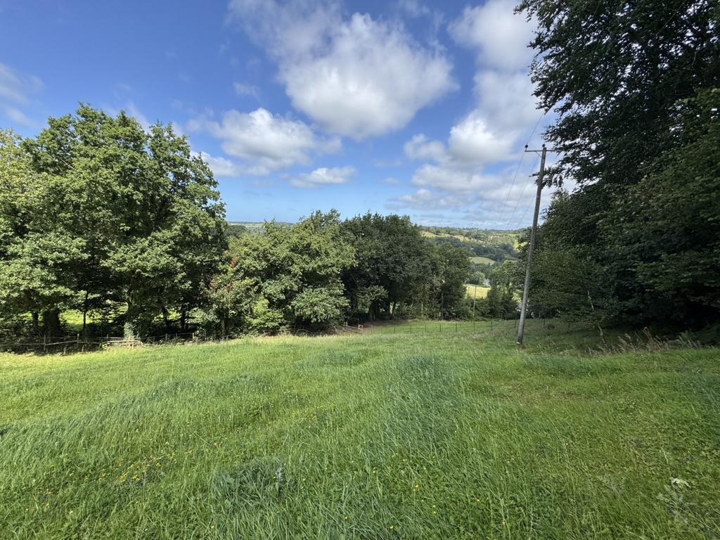 The Land