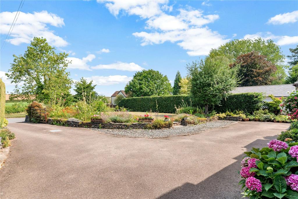 Driveway