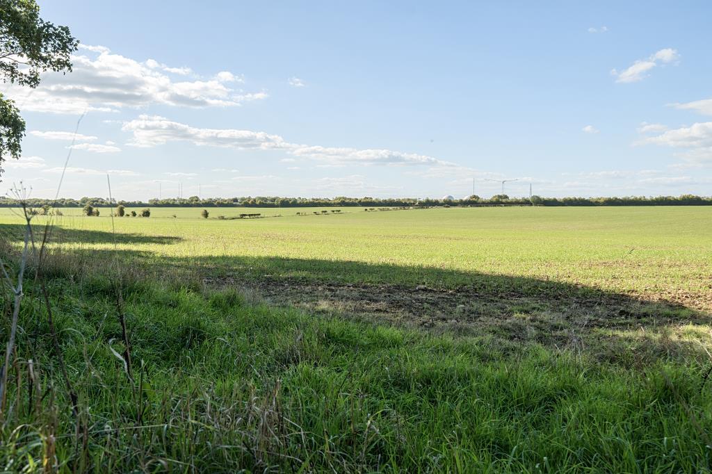 External