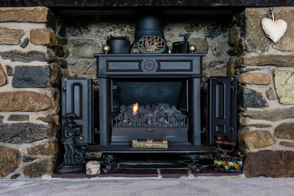 Erw'r Wennol Fire Place Living room