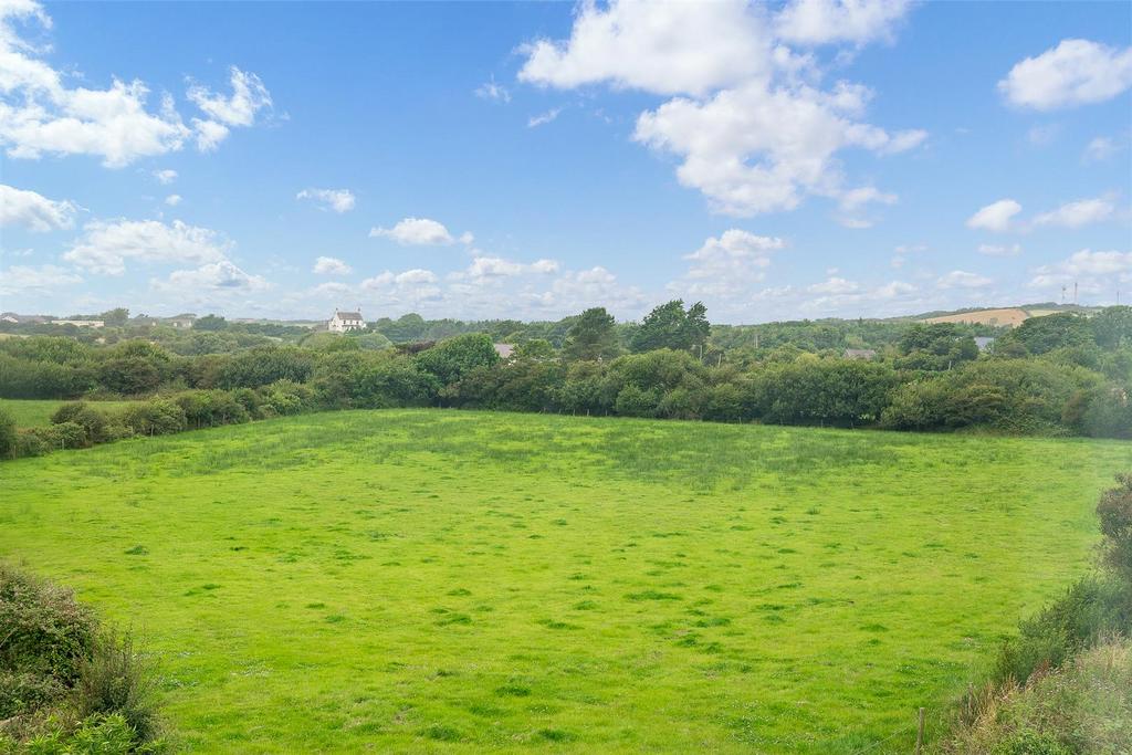 Paddock land