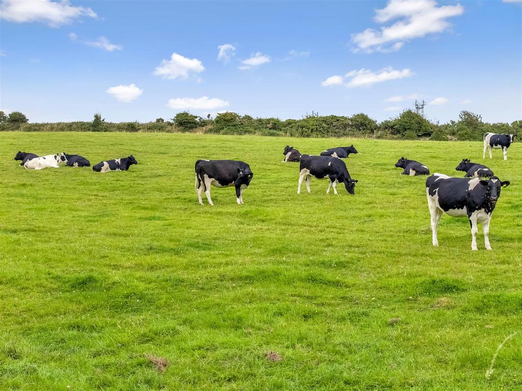 Paddock land