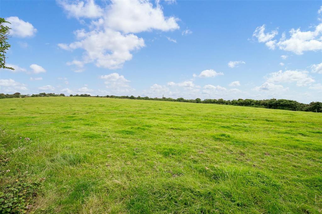 Paddock land