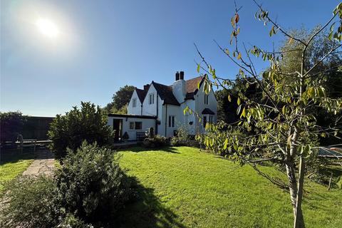undefined, Powderham, Exeter