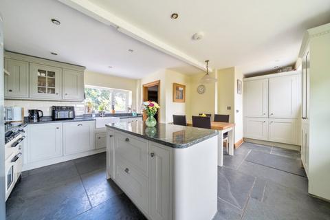 undefined, Powderham, Exeter