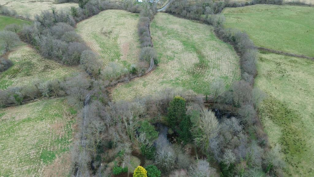 The land