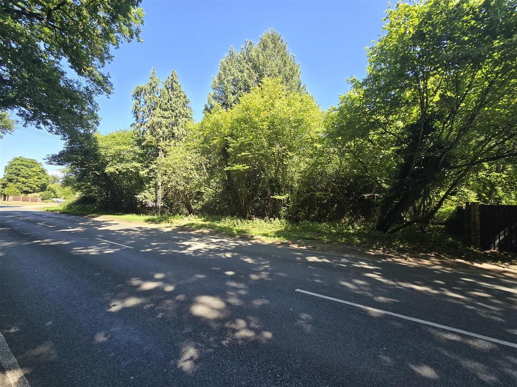 View from Road