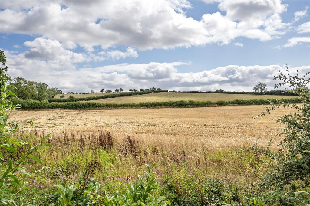 Countryside View