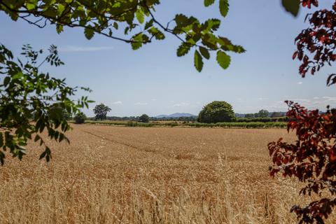 undefined, Kidderminster, Worcestershire