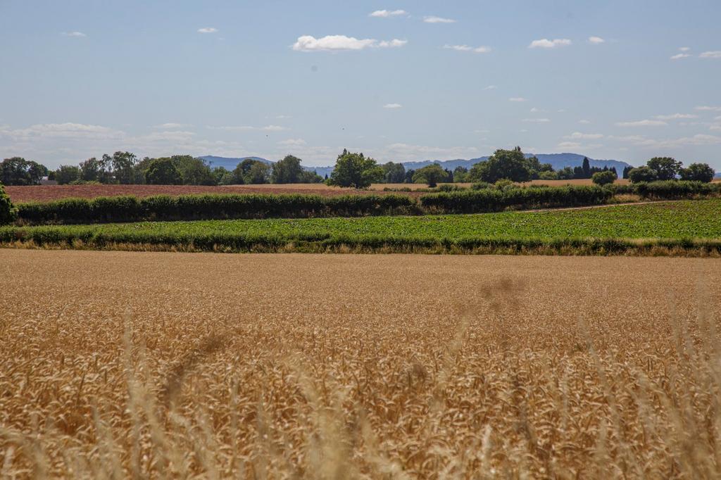 Land