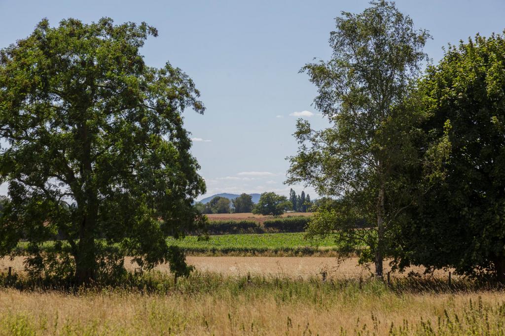 Land