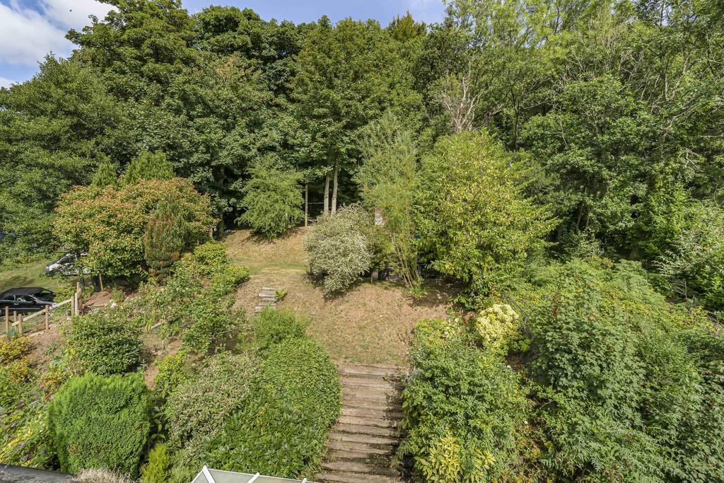 Garden 2