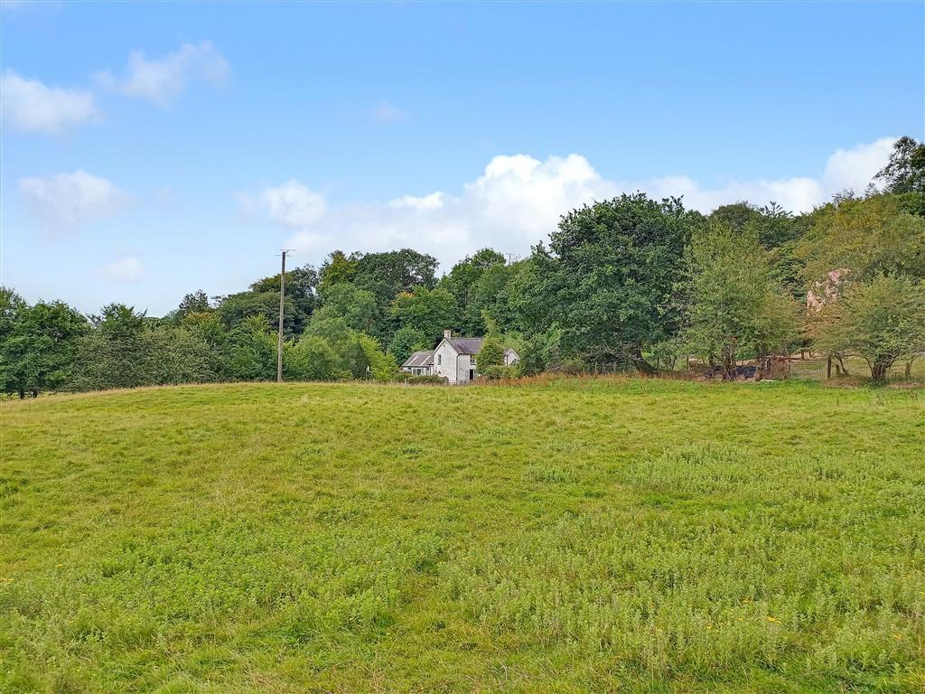 House View From Paddock 1