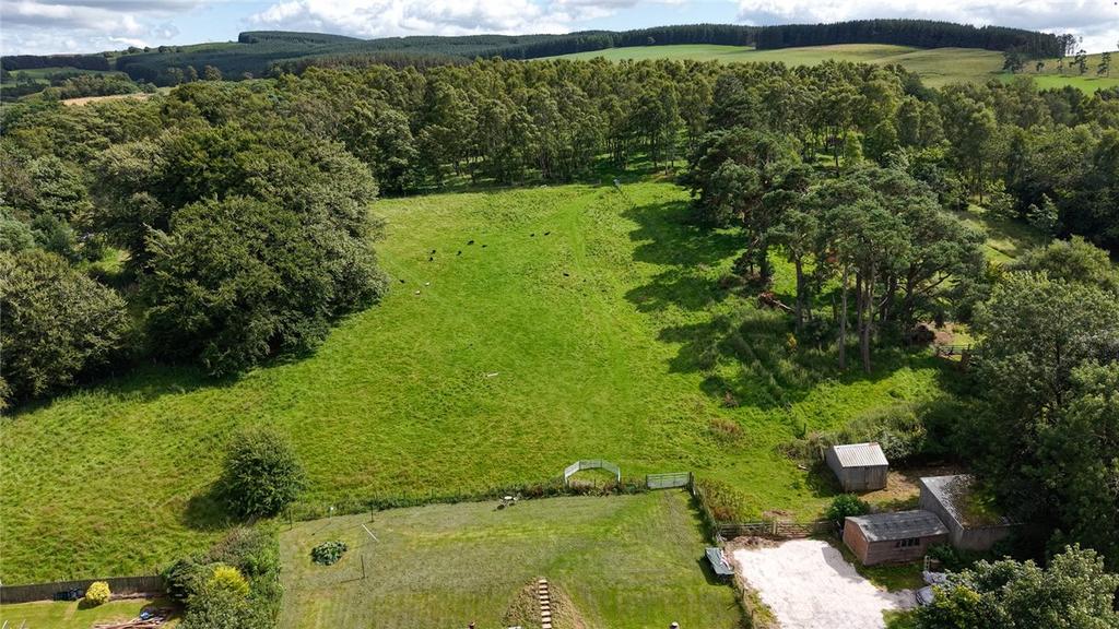 Grazing Land