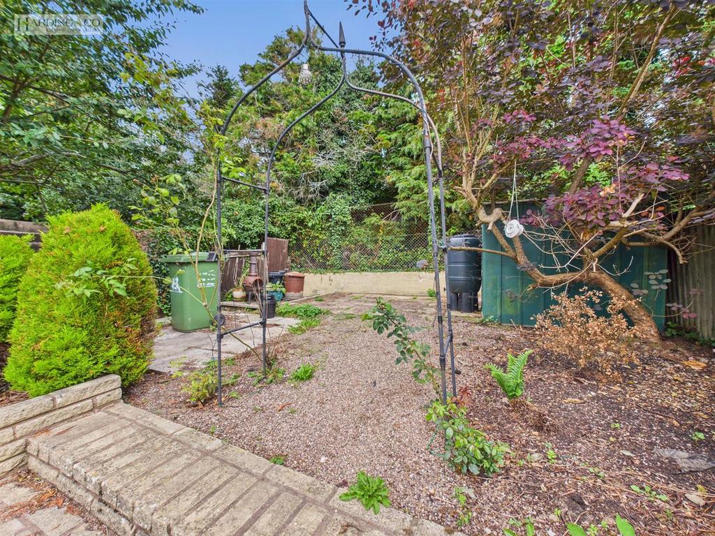 Garden .3.jpg