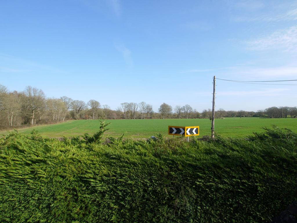 Photograph 12