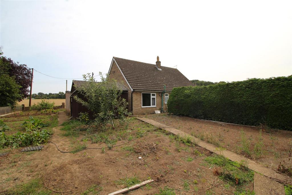 Garden 3 .JPG